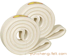 280℃中溫?zé)o縫環(huán)型輸送帶