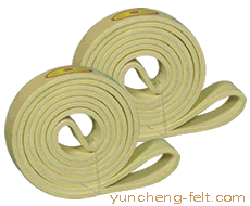 480℃高黃環(huán)帶