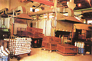 供應(yīng)立推式燃油型鋁板錠加熱爐