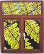 ������ᴰ