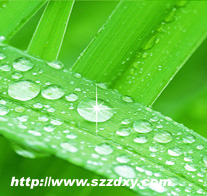 ���_��һ�h(hu��n)���o�U���aSGS�J�C����ϴ������