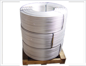 �X���z�K�V�X��Ͻ�